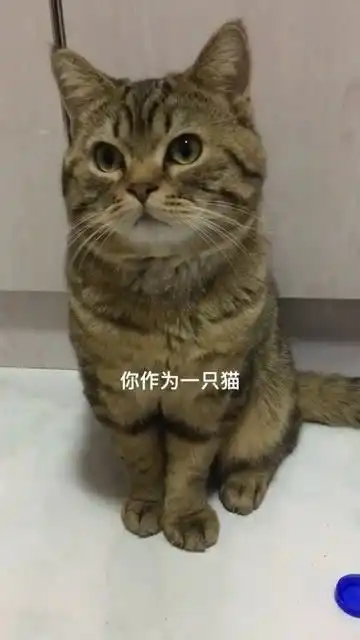 我可以勾搭你男人啊
