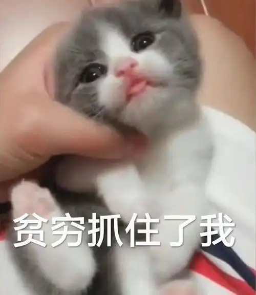 大学最烧钱的专业排名,你上榜了吗
