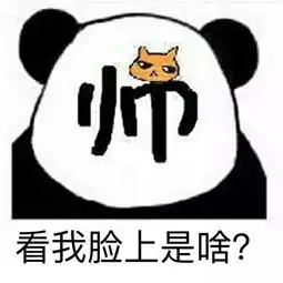 表情包我就不要脸
