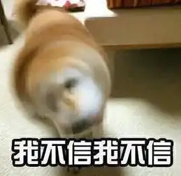 第六届星光闪闪亮全国少儿电视才艺大赛即将开赛
