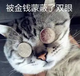 被金钱蒙蔽了双眼猫咪表情包