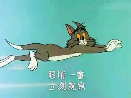 猫和老鼠表情包小老鼠能有什么坏心思呢
