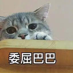 一只猫委屈成球表情包
