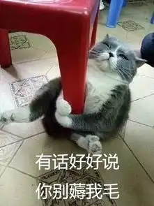 幽默段子笑话我打电话给我朋友说我在家里发现了一只大老鼠
