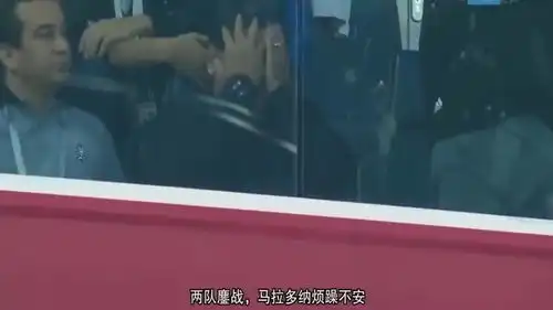 戏真多马拉多纳看台上一只行走的表情包
