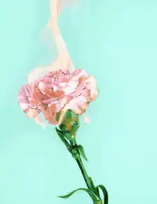 吸毒上瘾有多难戒只一次,你就玩完了
