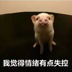 你是有道理,我就不能委屈了吗
