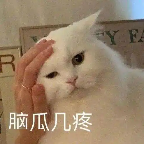 可爱沙雕表情包
