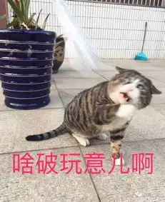 没想到有一天,我会开始讨厌林依晨的戏
