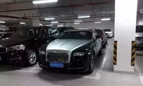 ig夺冠思聪狂撒百万,网友直呼太壕了,看了他的座驾更是闪瞎眼睛
