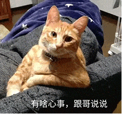 表情包,有病有药
