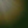 故事太久今天太短的qq空间
