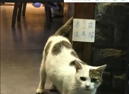 搞笑gif都是在下珍藏的被生活逼疯系列爆笑表情包拿走不谢
