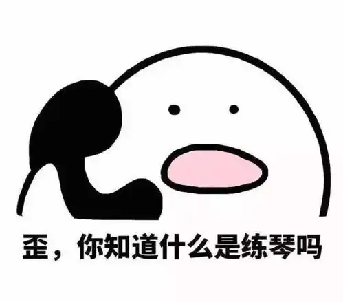 一波学钢琴的人才懂的表情包
