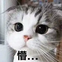 中传指南针速戳获取最全校园活动攻略
