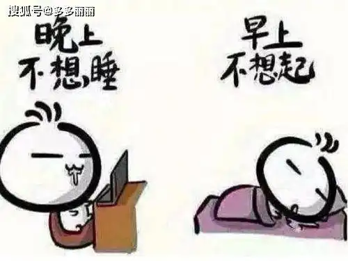 我顶着熊猫眼跟熊猫说你好可爱,它却说你好丑
