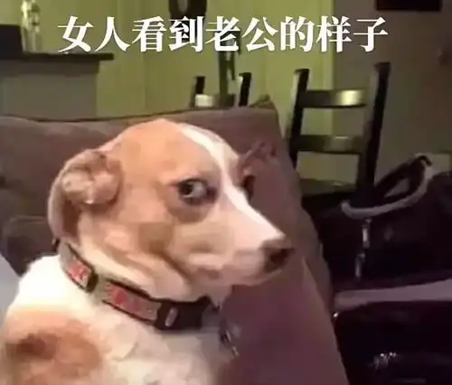 分享几张真实的表情包
