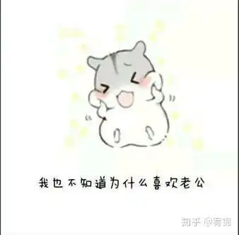 专业土情话

