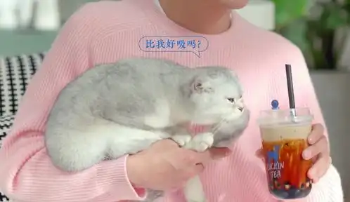 肖战居家风精英男无缝切换,单手托猫犯强迫症,委屈的表情成亮点
