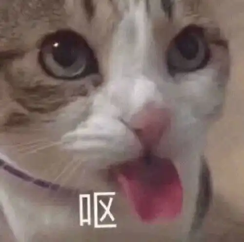 如何看待男子烧炭自杀疑遭pua每天给女友转账666元,不转会被罚
