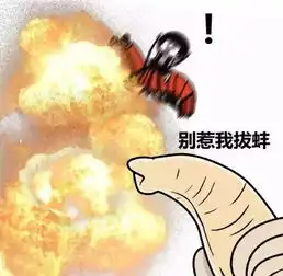 皮皮猪变身记
