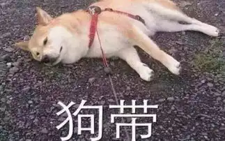 在重庆买学区房还是读贵族学校这账算出来,吓了一跳

