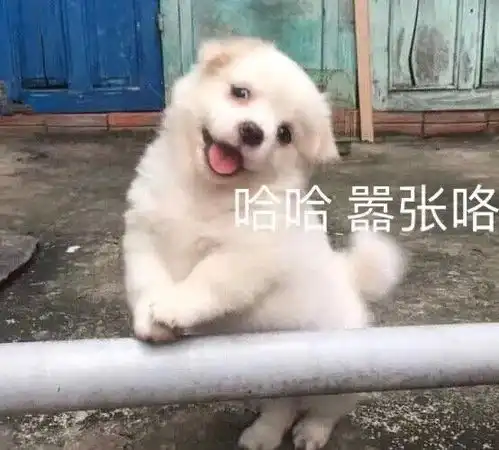 微信沙雕表情包可爱真的可以为所欲为
