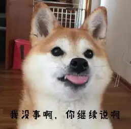 柴犬表情包真叫狗头大
