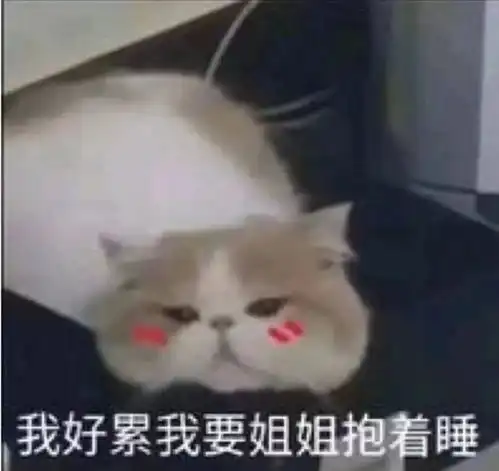 搞笑表情包图片我好累需要姐姐抱着睡
