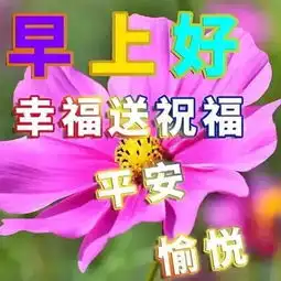 我会把最甜美祝福和问候送给你,祝好朋友开心快乐每一天,早安
