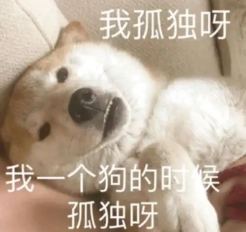 我的收藏
