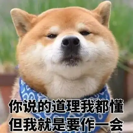 搞笑柴犬表情包,你说这话,你自己信
