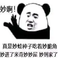 那些有趣的表情包我只是一只不明真相的吃瓜土狗
