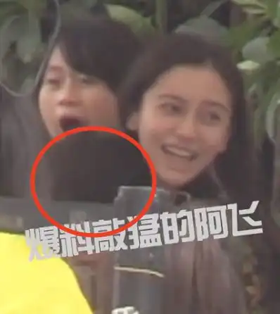 baby和李诞户外谈笑风生,黑眼圈抢镜素颜憔悴,小海绵表情显哀怨
