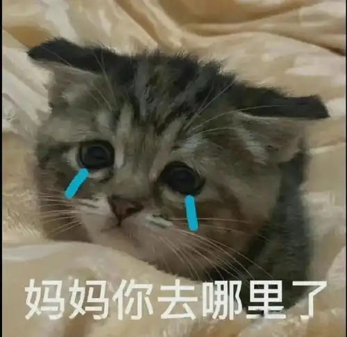 点开和爸妈的聊天记录,我发现......

