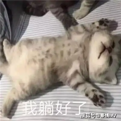 幼儿园老司机的表情包大全2021害羞又很可爱的表情图片
