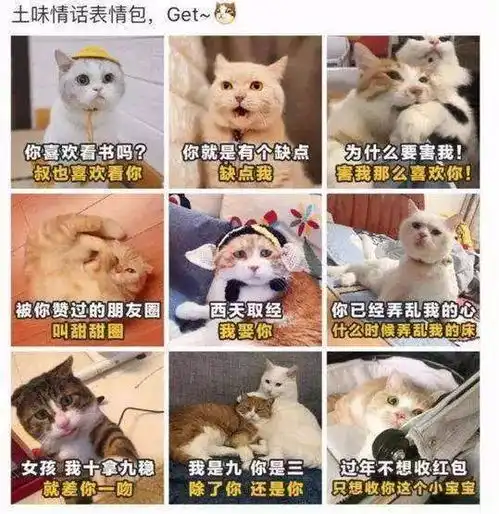 vol.106半糖电台我能和你一起建设中国特色社会主义吗
