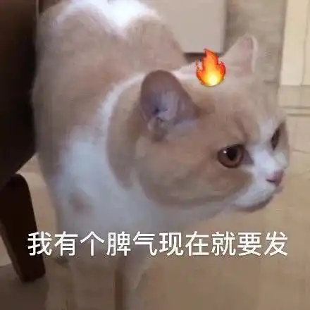 表情包不想开学的人是因为他们在学校没有对象