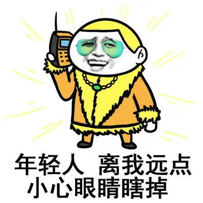 土豪专用表情包金砖盖房你懂吗
