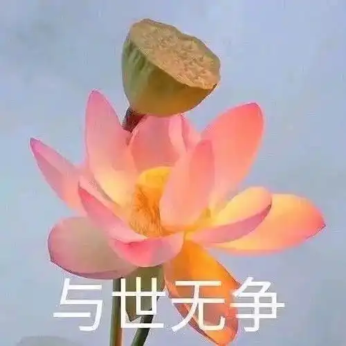 讲点真心话
