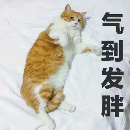 沙雕聊天表情包i来呀干架呀
