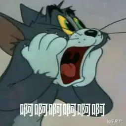 你如何看待b站up主芒果七七
