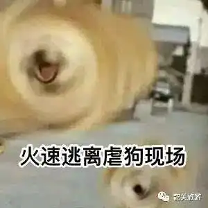 韶关情侣们都爱去的地方,看到第一个就脸红了
