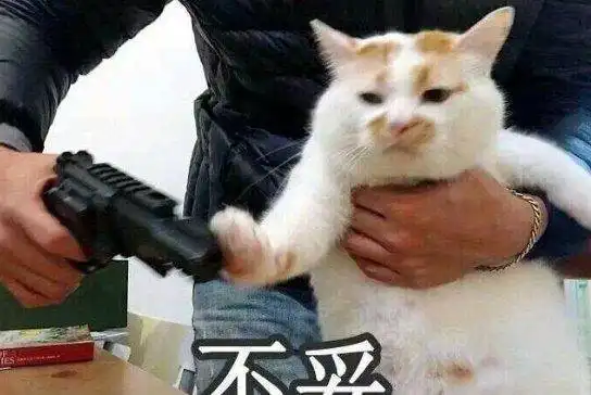日常搞笑段子莫非您是过来人
