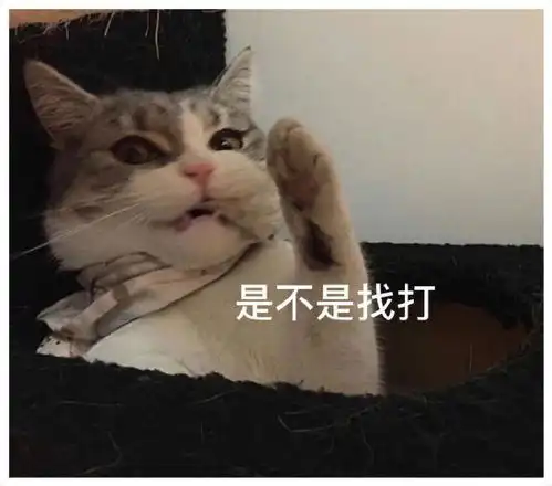 热门表情包图片难题,今天吃什么呢
