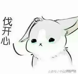 低价游猫腻多记者体验180元低价团上车就加钱