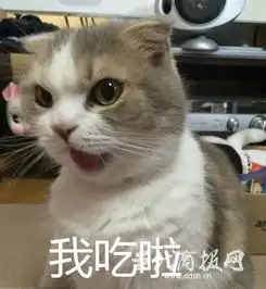 王俊凯小咖秀集成海量表情包偶像来了路透照录制花絮曝彩蛋
