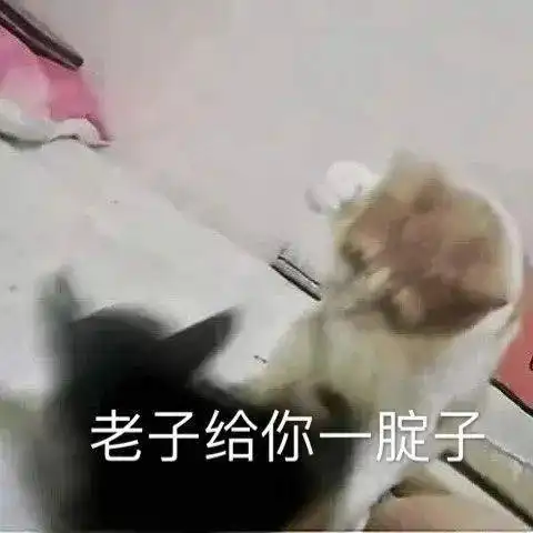 今日份热门表情你又不跟我睡管我几点睡
