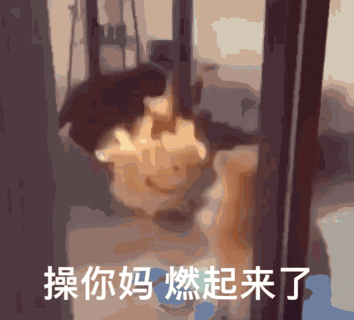 白箱剧场版tv版的总结也是延续
