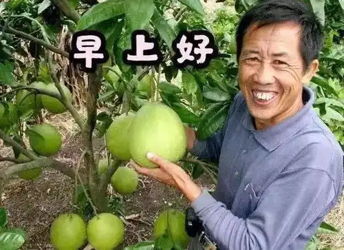 2021最新早上好图片带字表情包祝福,祝大家天天好运平安健康幸福
